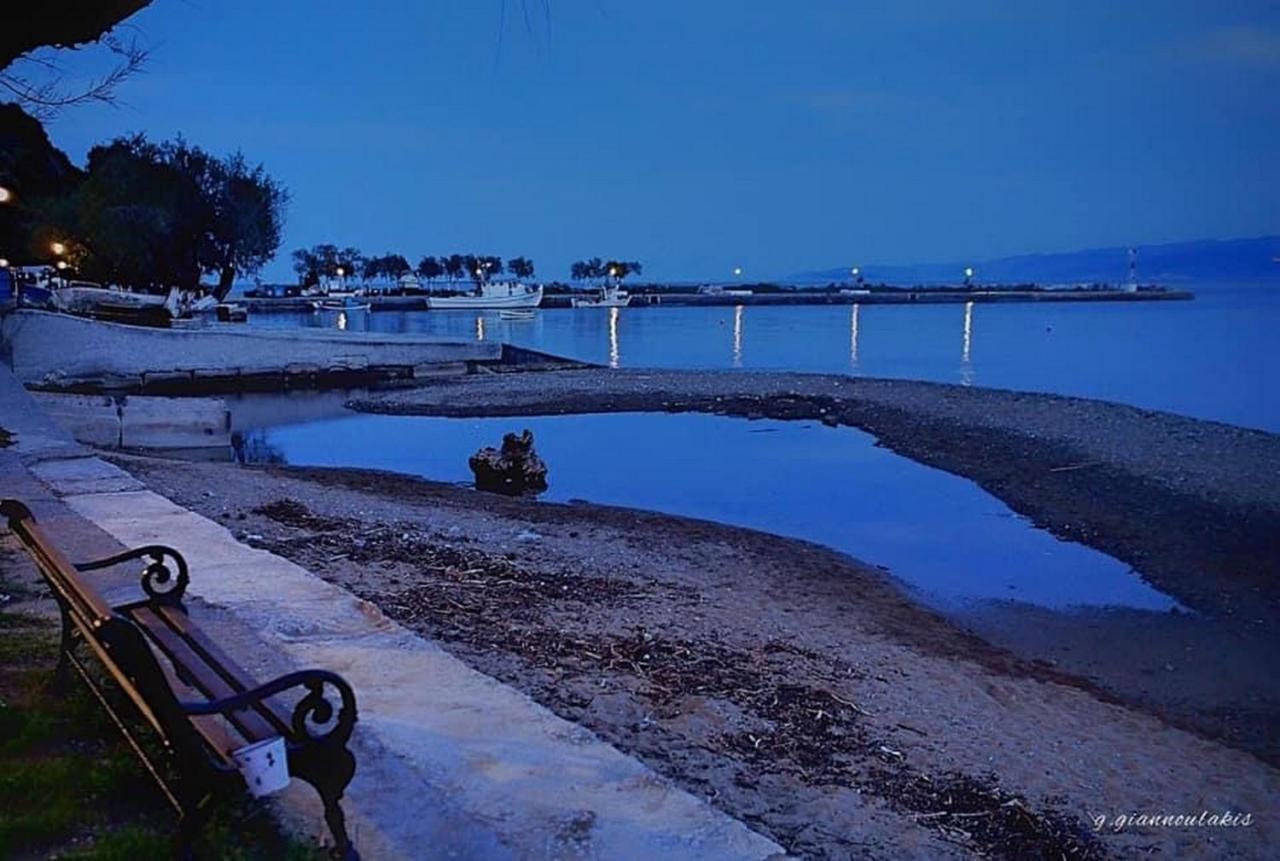 Harmony Seaside Pelion Διαμέρισμα Πλατανιάς Εξωτερικό φωτογραφία