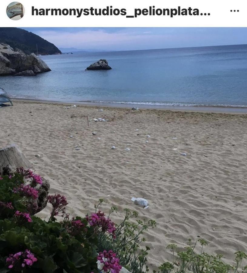 Harmony Seaside Pelion Διαμέρισμα Πλατανιάς Εξωτερικό φωτογραφία