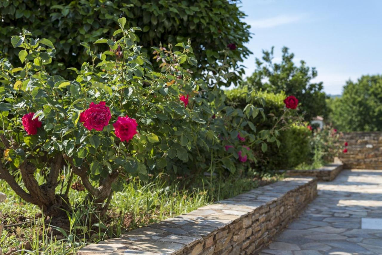 Harmony Seaside Pelion Διαμέρισμα Πλατανιάς Εξωτερικό φωτογραφία