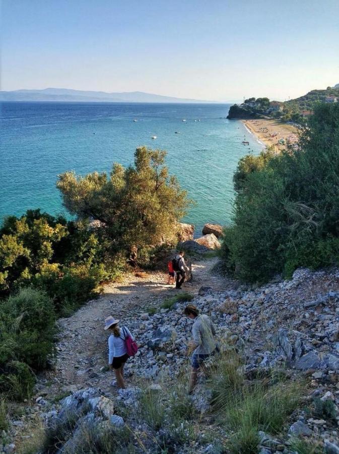 Harmony Seaside Pelion Διαμέρισμα Πλατανιάς Εξωτερικό φωτογραφία